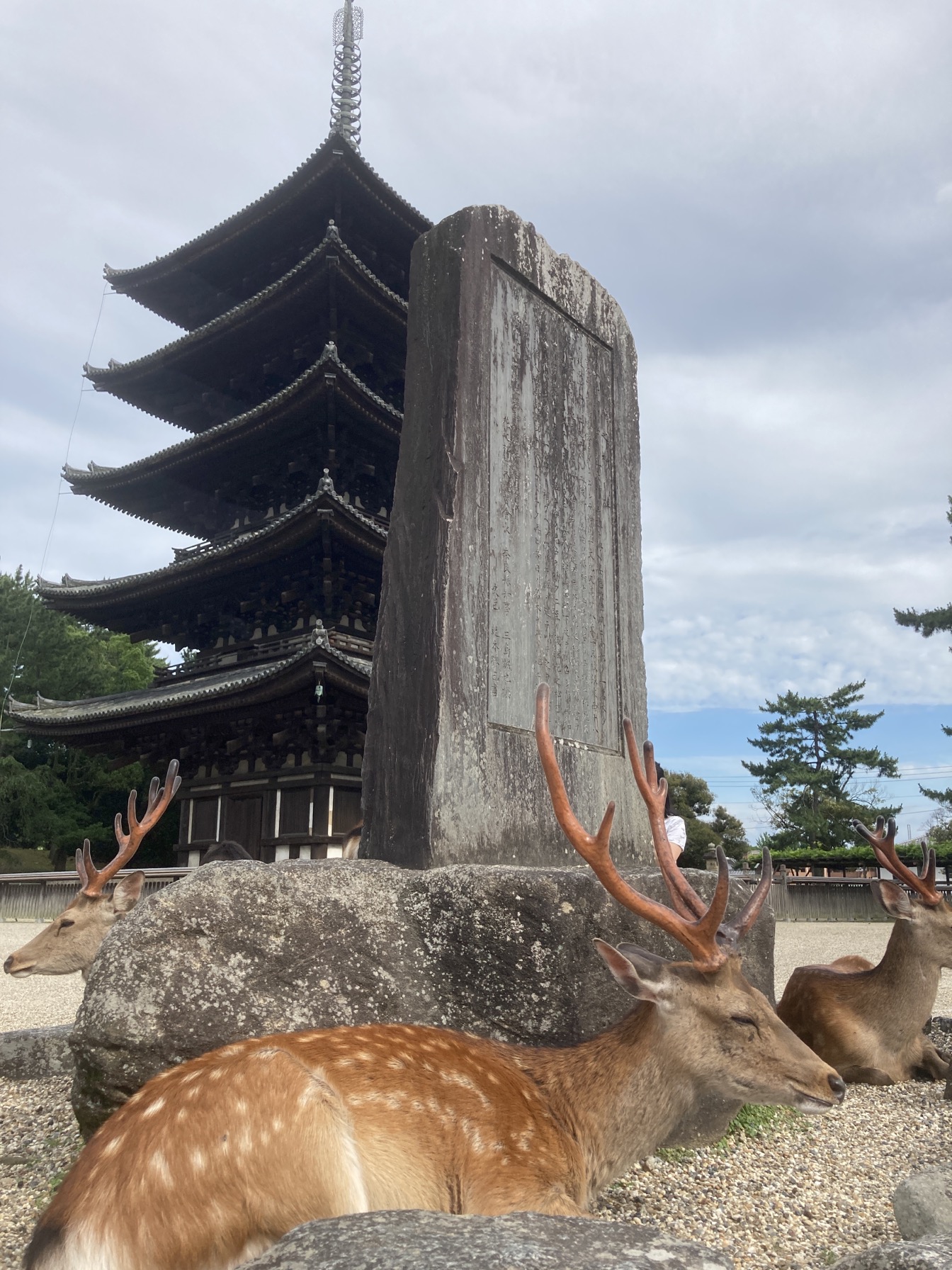 興福寺・猿沢池