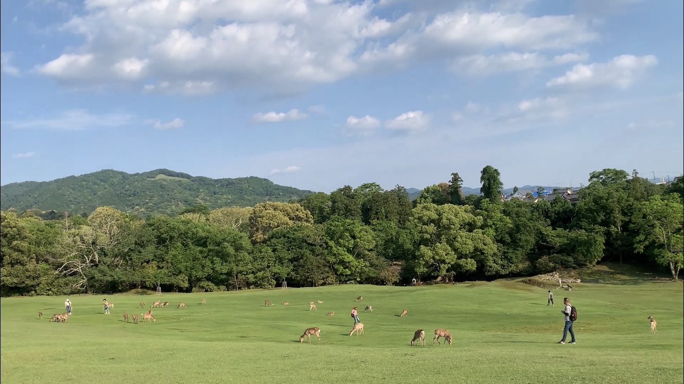 飛火野