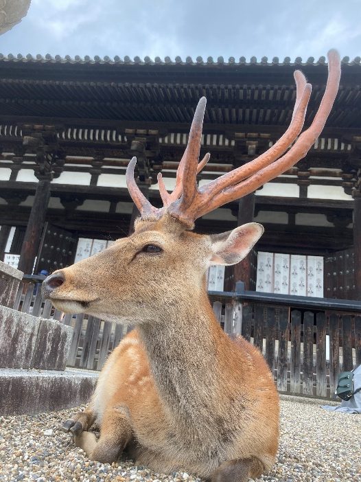 イケ角のトニーさん